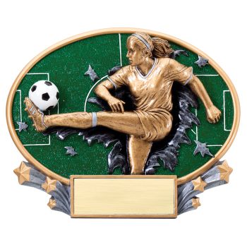 TR31239